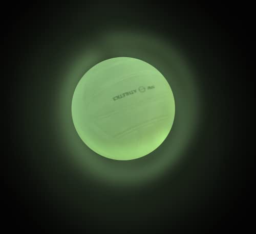 NW Athletics Glow in The Dark Balls for Spikeball Roundnet Game-Replacement Balls with Glowing Technology (2-Pack)